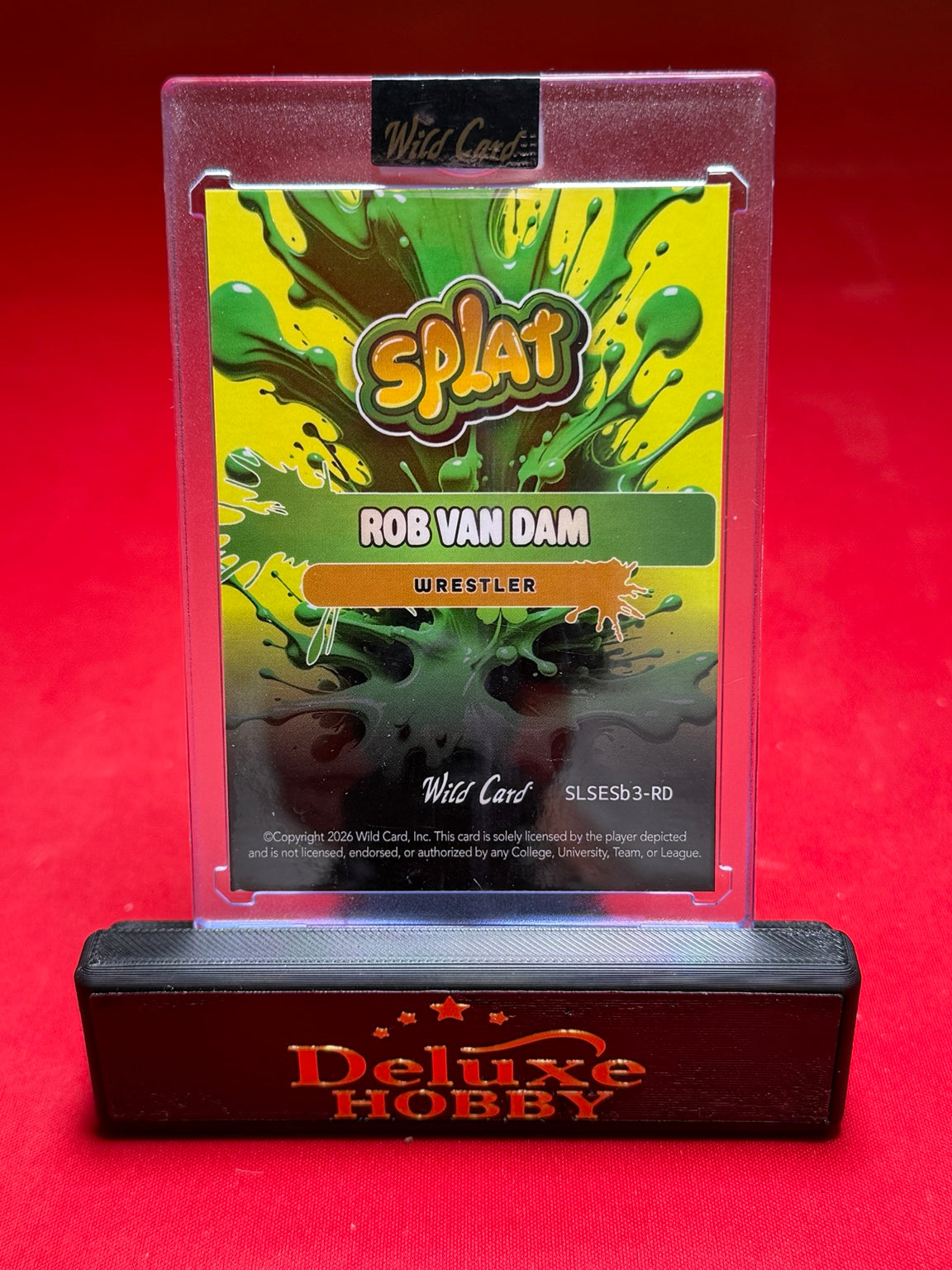 Rob Van Dam 7/7 back